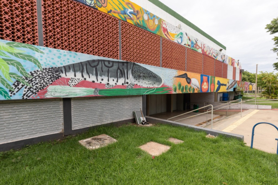 Cuiabá recebe Festival Paralímpico com foco na inclusão pelo esporte