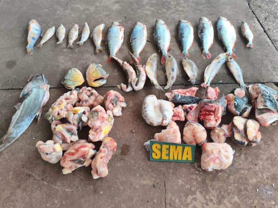 Sema e PM apreendem 26 kg de pescado ilegal em estabelecimento às margens do Rio Cuiabá
