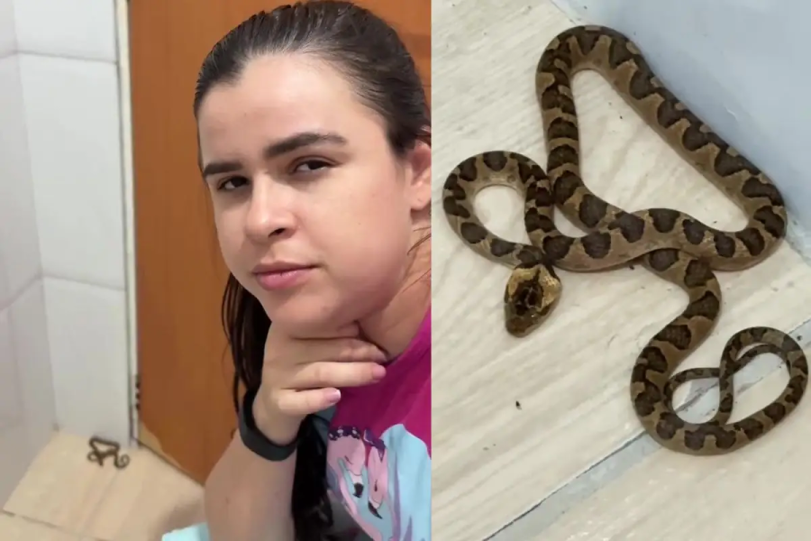 Cobra invade banheiro na madrugada e reação de moradora viraliza nas redes