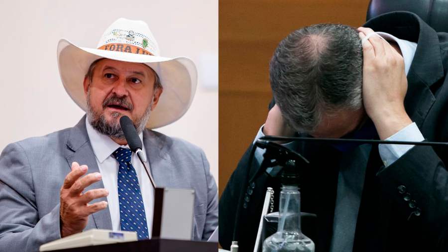 Cattani defende investigação e punição em caso que cita Faissal