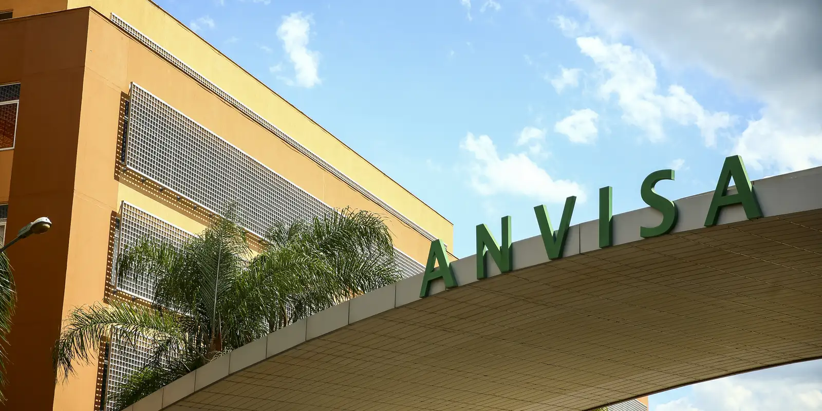 Anvisa aprova novo medicamento para câncer de pulmão